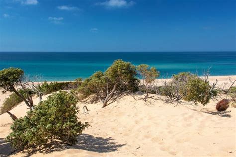 Conoscere E Proteggere Le Dune Costiere La Priorit Per Il Fai Puglia