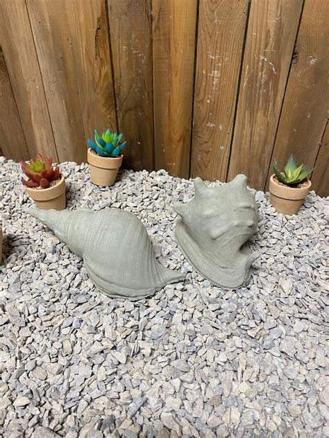 2 Seashells Concrete Statue Conch And Spiral Shell Indoor Etsy