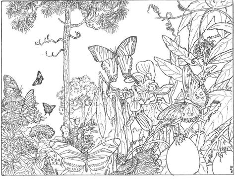 Forest Coloring Pages Pinterest Beautiful Coloring And Last Night