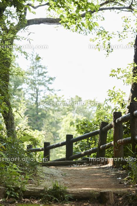 神奈川県 横浜市 大倉山公園の写真素材 142782144 イメージマート