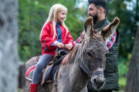 Une Jolie Fille Blonde Chevauchant Un âne Dans Une Ferme Son Père L aidant Photo Premium