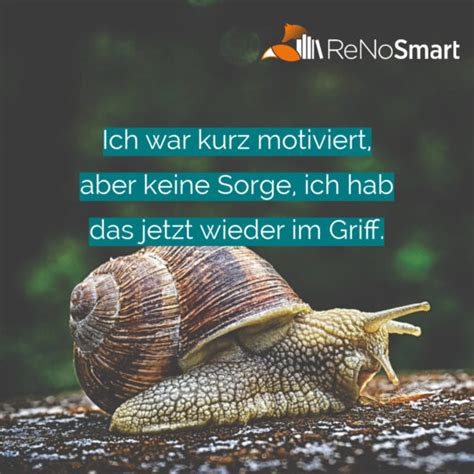 Ich War Kurz Motiviert Aber Keine Sorge Ich Hab Das Jetzt Wieder Im Griff Alles Für Renos