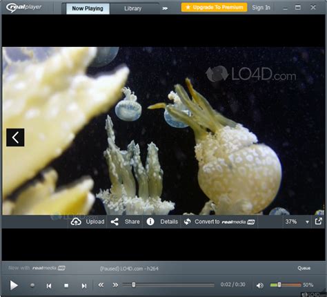 RealPlayer - Download