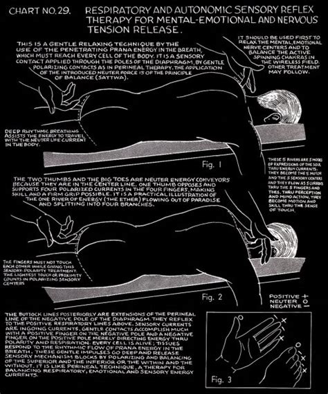 Scientia Et Veritas Polarity Therapy Volume Book Chart Dr