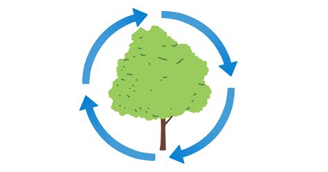 Test Your Climate Change Knowledge The Washington Post