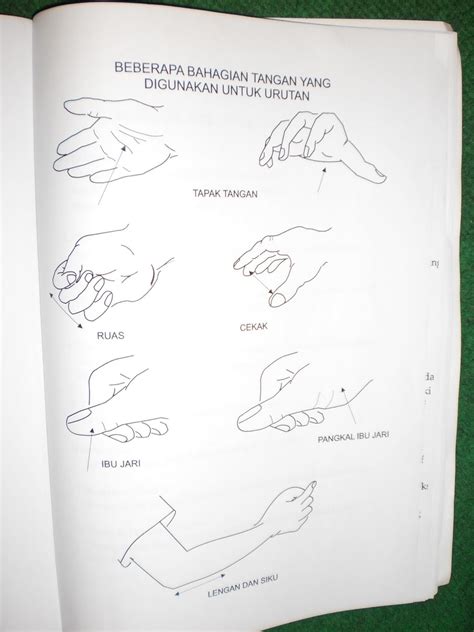 cara membuat nomor urut di excel dengan rumus if 6