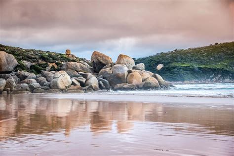 Whisky Bay Wilsons Prom 11 Russell Charters Flickr