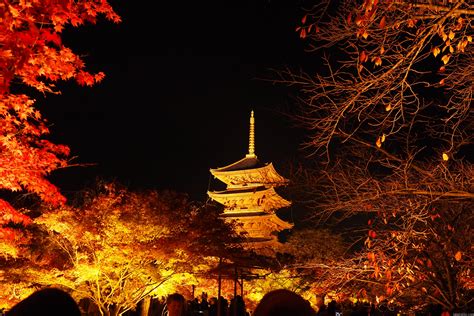 京都 東寺の紅葉2024年版見どころは五重塔のライトアップ混雑情報やアクセス方法を徹底解説