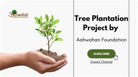 The Creation Of A Thousand Forests Is In One Acorntree Plantation