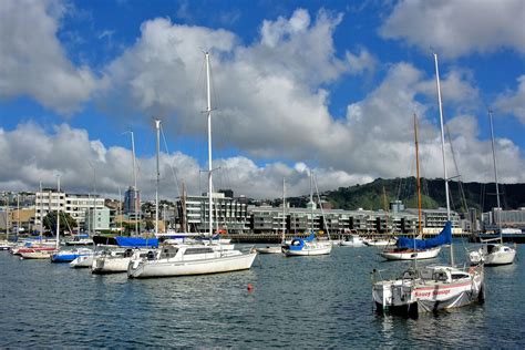 Legend of Wellington Harbour in Wellington, New Zealand - Encircle Photos