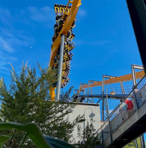 Batman Six Flags Great Adventure Batman The Ride | Six Flags Great