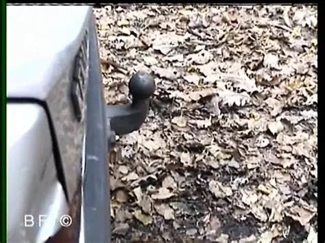 Free Kinky Vintage Porn Videos XHamster