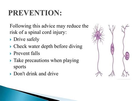 Neurogenic Shock Versus Spinal Shock 7