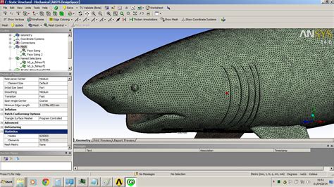 大白鲨鱼模型3D图纸 Solidworks设计 附STEP KerYi