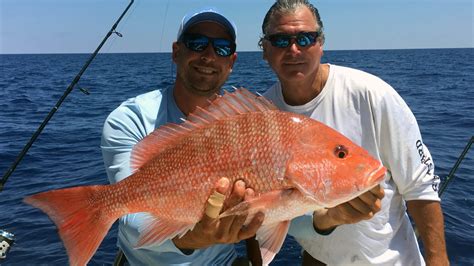 Naples Offshore And Nearshore Charter Fishing Deep Sea Snapper Grouper