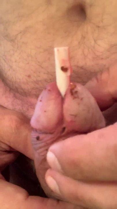 My Dick Has Fun With Ants Gay Man Porn Xhamster