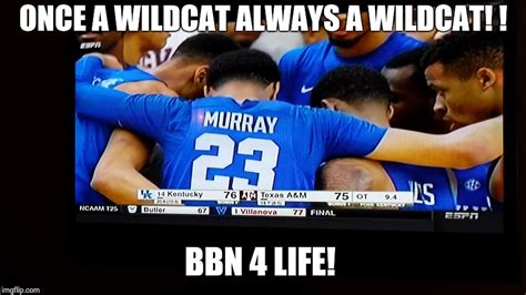 Kentucky Wildcats Imgflip