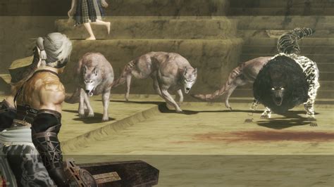 Desert wolf | NIER Wiki | FANDOM powered by Wikia