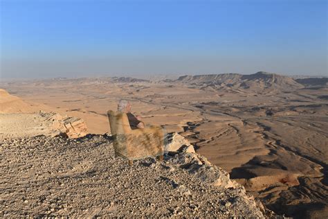 אדמה יוצרת פנטזיה במדבר יואל שתרוג אדמה יוצרת