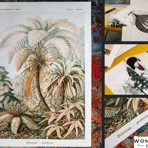 Poster Wall Art Naked Woman Spreading Legs Torso Of A Seated Woman With Boots 1918 By Egon