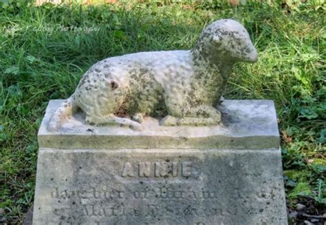 Gravestone Lamb Nikki Kellogg Photography