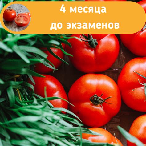 Посчитаем помидоры? - Репетитор по математике