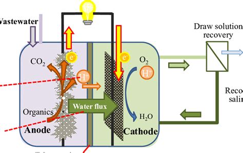 Schematic Of An Osmotic Microbial Fuel Cell Osmfc Download Scientific Diagram