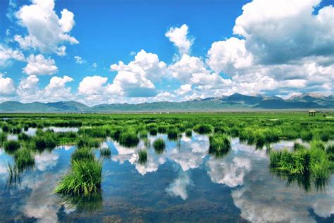 若尔盖花湖 中国国家地理最美观景拍摄点