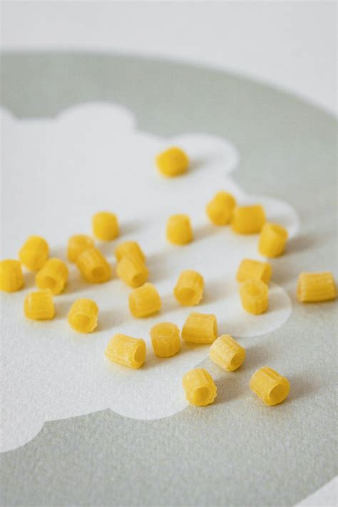 Ditalini – Glutiniente – Gluten-free pasta