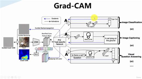 YOLOv5目标检测之Grad CAM热力图可视化