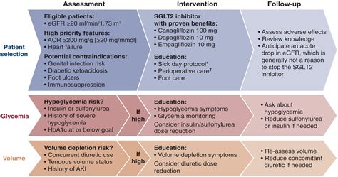 Kdoqi Commentary On The Kdigo 2022 Update To The Clinical Practice