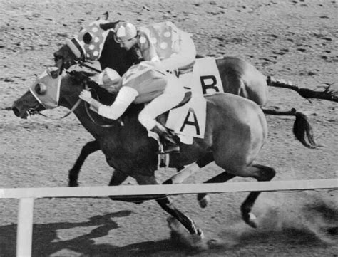 Seabiscuit Thoroughbred Horse Racing, Sport Of Kings, All About Horses ...