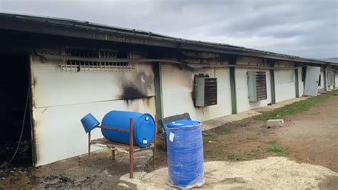 Video As Ha Quedado La Macrogranja De Fuente Obejuna Tras El Incendio