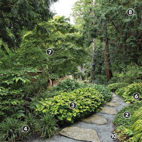 Deer proof landscaping – Artofit