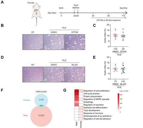 Multi Omics Profiling Of Cholangiocytes Reveals Sex Specific Chromatin