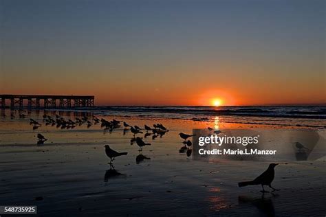 82 Tybee Island Pier Stock Photos, High-Res Pictures, and Images - Getty Images