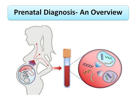 Prenatal Diagnosis An Overview Microbiology Notes