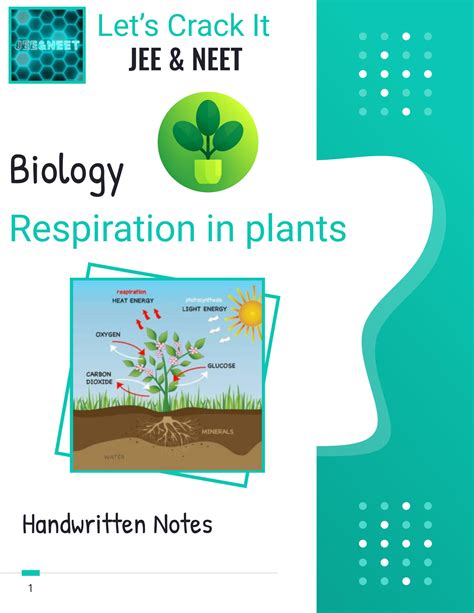 Solution Biology Respiration In Plant Best Short Notes For Neet