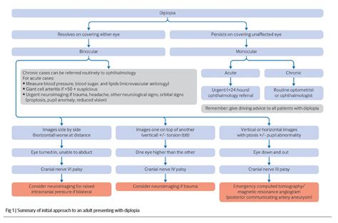 Диагностика диплопии у взрослых (BMJ, апрель 2024) > MedElement