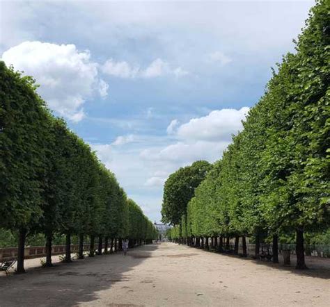 Tuileries Garden Self Guided Audio Walking Smartphone Tour GetYourGuide