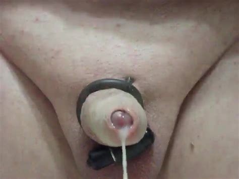 Cock Ring Cum Free Small Cock Porn Video 99 XHamster XHamster