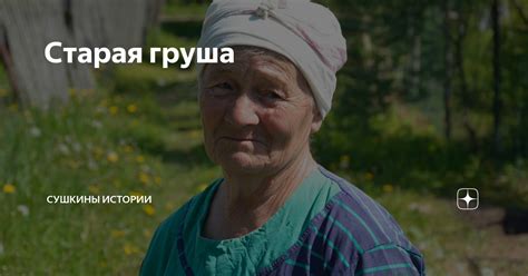 Старая груша | Сушкины истории | Дзен