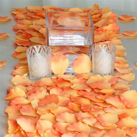 BalsaCircle 500 Silk Rose Petals - Wedding Ceremony Flower Scatter ...