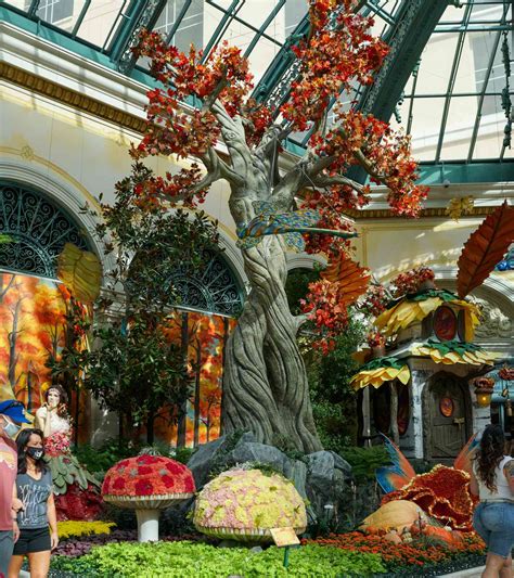 Guide to Bellagio Conservatory & Botanical Garden