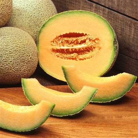 Usa Seller Rocky Ford Melon Cantaloupe 25 Seeds Heirloom Etsy