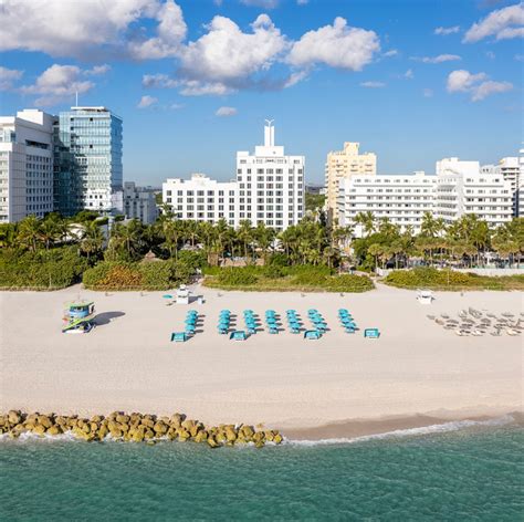 Miami Hotel and Beach Resort | About | The Palms Hotel & Spa