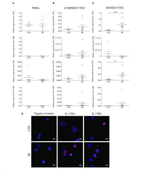 Il 17ra And Il 17rc Mrna Expressions Were Increased In Monocytes