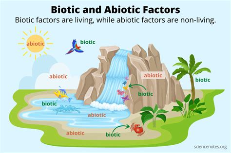 Biotic and Abiotic Factors in Ecology | Abiotic, Biotic, Ecosystems