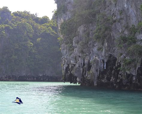 Experience We Unforgettable: Kayaking Ha Long Bay With Us