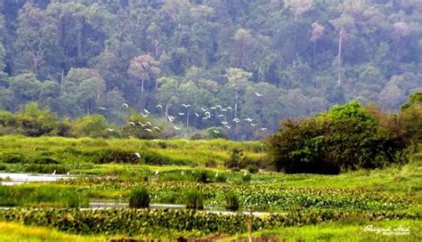 Nam Cat Tien National Park